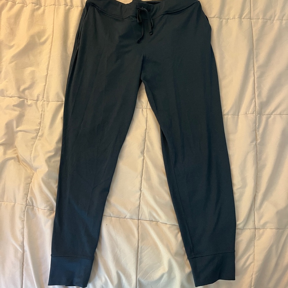Women’s Patagonia Blue Jogger Pants - Size Medium